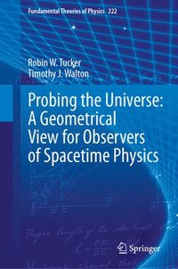 bokomslag Probing the Universe: A Geometrical View for Observers of Spacetime Physics
