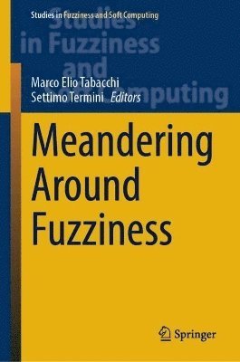 Meandering Around Fuzziness 1