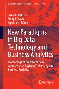 bokomslag New Paradigms in Big Data Technology and Business Analytics