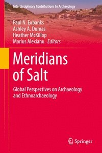 bokomslag Meridians of Salt