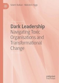 bokomslag Dark Leadership