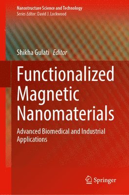 bokomslag Functionalized Magnetic Nanomaterials