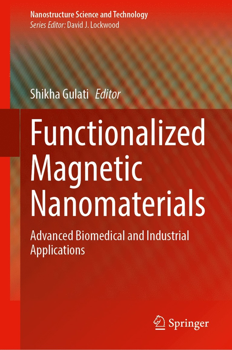 Functionalized Magnetic Nanomaterials