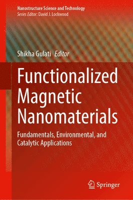 bokomslag Functionalized Magnetic Nanomaterials