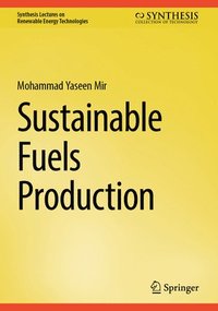 bokomslag Sustainable Fuels Production