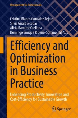 bokomslag Efficiency and Optimization in Business Practice