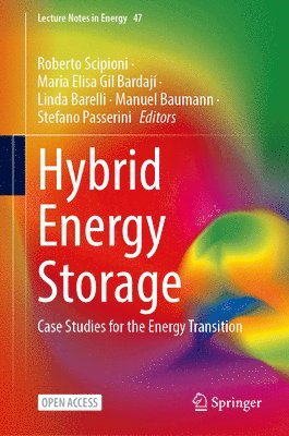 bokomslag Hybrid Energy Storage
