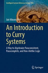 bokomslag Introduction to Curry Systems