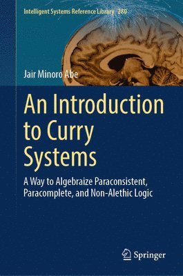 bokomslag Introduction to Curry Systems