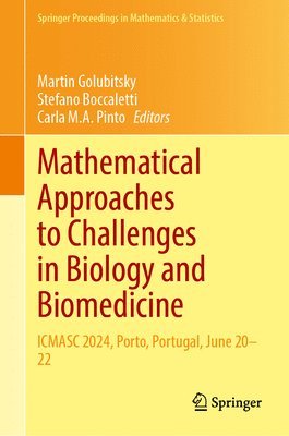 bokomslag Mathematical Approaches to Challenges in Biology and Biomedicine