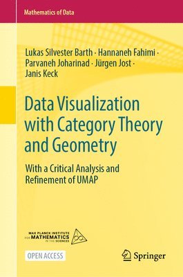 bokomslag Data Visualization with Category Theory and Geometry