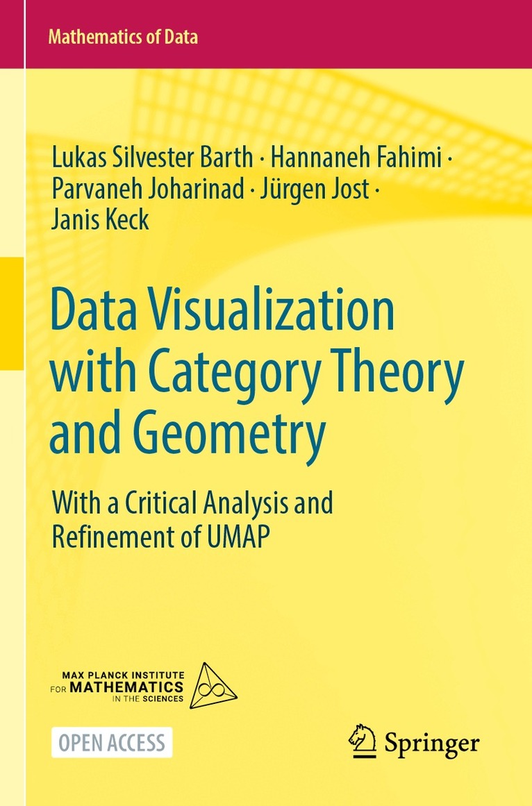 Lukas Silvester Barth, Hannaneh Fahimi, Parvaneh Joharinad, Jürgen Jost, Janis Keck - Data Visualization with Category Theory and Geometry, Häftad