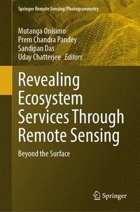 bokomslag Revealing Ecosystem Services Through Geospatial Technologies