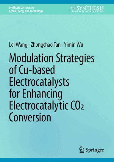 Lei Wang, Zhongchao Tan, Yimin Wu - Modulation Strategies of Cu-based Electrocatalysts for Enhancing Electrocatalytic CO2 Conversion, Inbunden