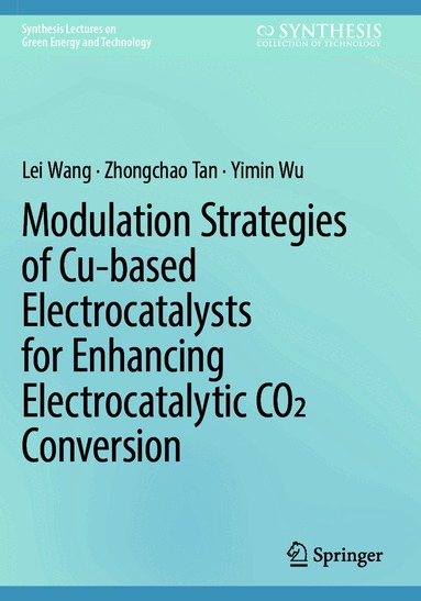 Lei Wang, Zhongchao Tan, Yimin Wu - Modulation Strategies of Cu-based Electrocatalysts for Enhancing Electrocatalytic CO2 Conversion, Häftad