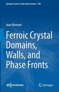 bokomslag Ferroic Crystal Domains, Walls, and Phase Fronts