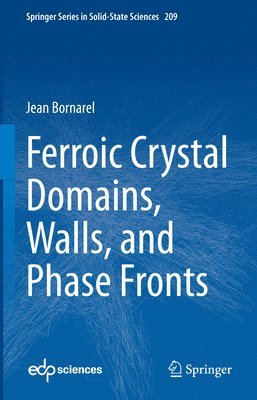 bokomslag Ferroic Crystal Domains, Walls, and Phase Fronts