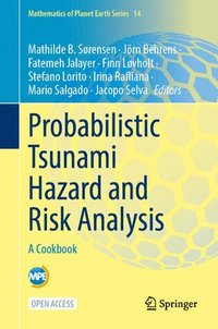 bokomslag Probabilistic Tsunami Hazard and Risk Analysis