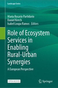 bokomslag Role of Ecosystem Services in Enabling Rural-Urban Synergies