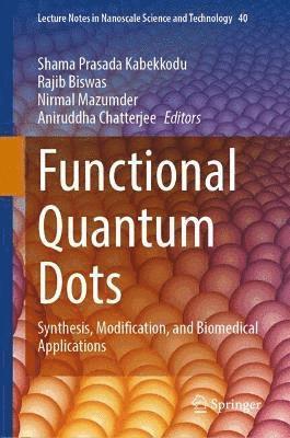 bokomslag Functional Quantum Dots