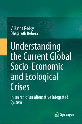 bokomslag Understanding the Current Global Socio-economic and Ecological Crises