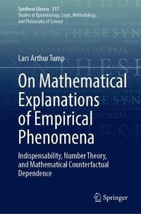 bokomslag On Mathematical Explanations of Empirical Phenomena