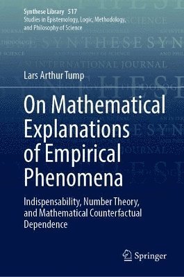bokomslag On Mathematical Explanations of Empirical Phenomena