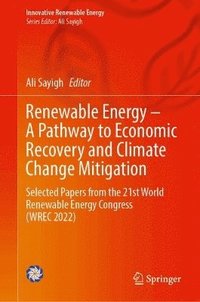bokomslag Renewable Energy - A Pathway to Economic Recovery and Climate Change Mitigation