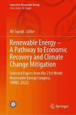 bokomslag Renewable Energy - A Pathway to Economic Recovery and Climate Change Mitigation