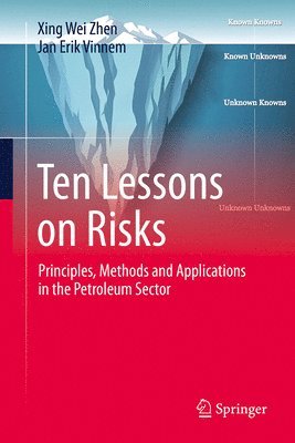 bokomslag Ten Lessons on Risks