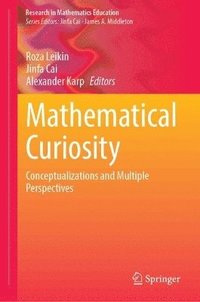 bokomslag Mathematical Curiosity