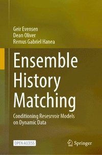 bokomslag Ensemble History Matching