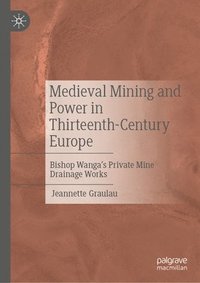 bokomslag Medieval Mining and Power in Thirteenth-Century Europe