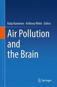 bokomslag Air Pollution and the Brain