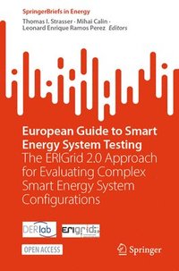 bokomslag European Guide to Smart Energy System Testing