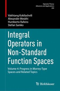 bokomslag Integral Operators in Non-Standard Function Spaces