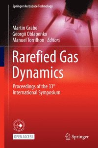 bokomslag Rarefied Gas Dynamics