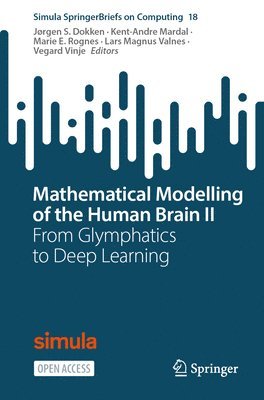 Jørgen S. Dokken, Kent-Andre Mardal, Marie E. Rognes, Lars Magnus Valnes, Vegard Vinje - Mathematical Modelling of the Human Brain II, Häftad