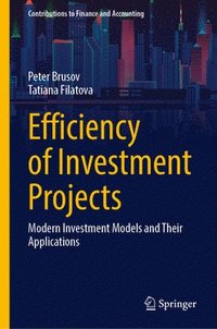 bokomslag Efficiency of Investment Projects: Modern Investment Models and Their Applications