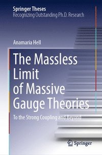 bokomslag Massless Limit of Massive Gauge Theories
