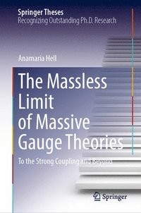 bokomslag The Massless Limit of Massive Gauge Theories: To the Strong Coupling and Beyond