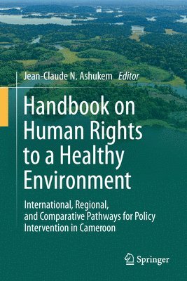 bokomslag Handbook on Human Rights to a Healthy Environment