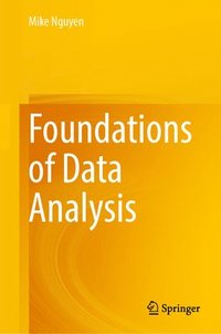 bokomslag Foundations of Data Analysis