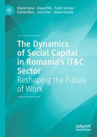 bokomslag The Dynamics of Social Capital in Romania's It&c Sector: Reshaping the Future of Work