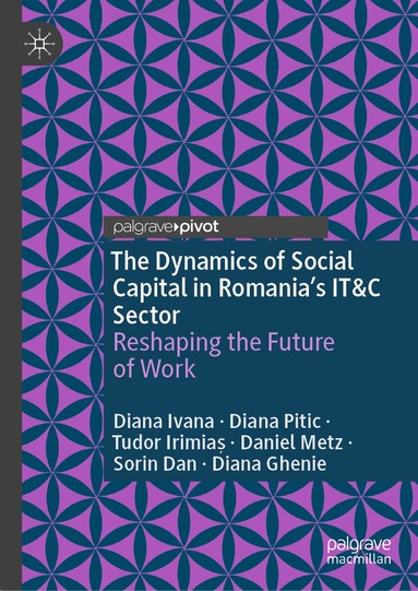 Diana Ivana, Diana Pitic, Tudor Irimiaș, Daniel Metz, Sorin Dan, Diana Ghenie - Dynamics of Social Capital in Romania’s IT&C Sector, Inbunden