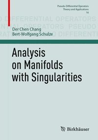 bokomslag Analysis on Manifolds with Singularities