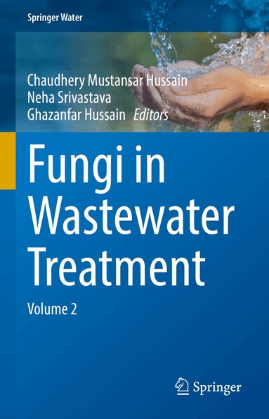 Chaudhery Mustansar Hussain, Neha Srivastava, Ghazanfar Hussain - Fungi in Wastewater Treatment, Inbunden