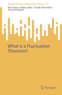 bokomslag What Is a Fluctuation Theorem?
