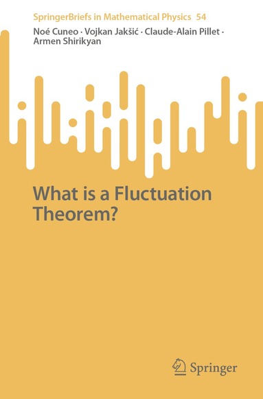 Noé Cuneo, Vojkan Jakšić, Claude-Alain Pillet, Armen Shirikyan - What is a Fluctuation Theorem?, Häftad