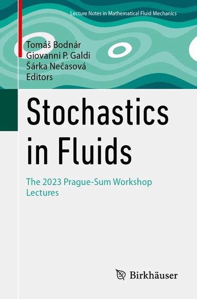 Tomáš Bodnár, Giovanni P. Galdi, Šárka Nečasová - Stochastics in Fluids, Häftad